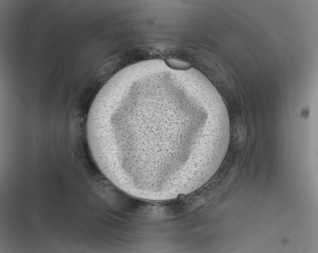 X0000116810276201001081401