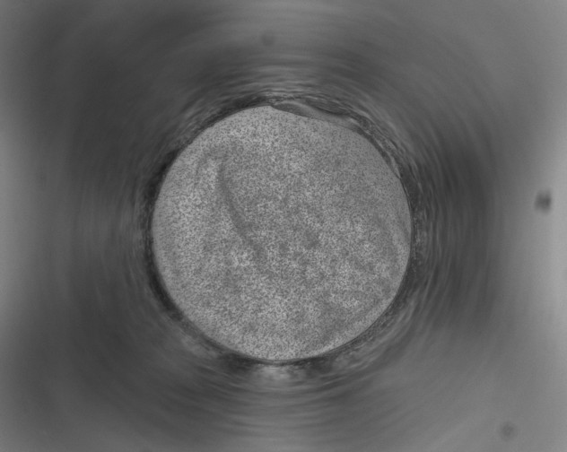 X0000116810277201001081402