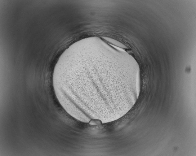 X0000116810278201001081402