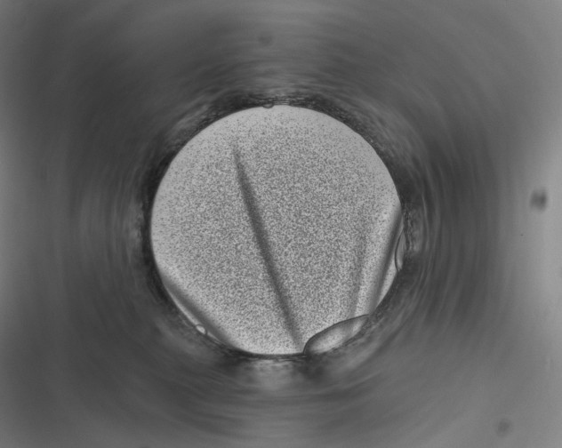 X0000116810279201001081402
