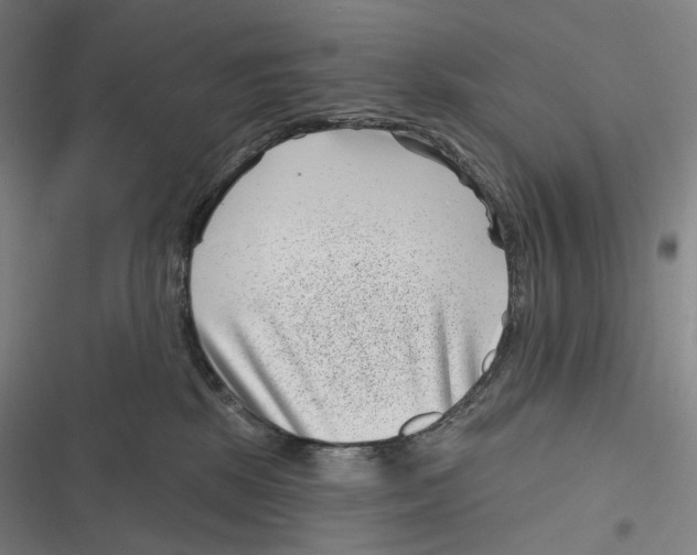 X0000116810281201001081402