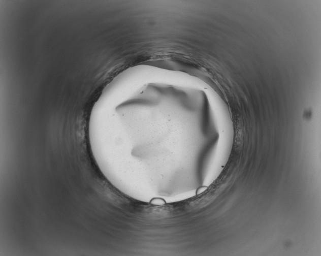 X0000116810282201001081402