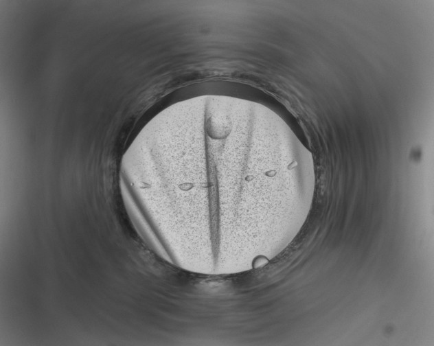 X0000116810283201001081402