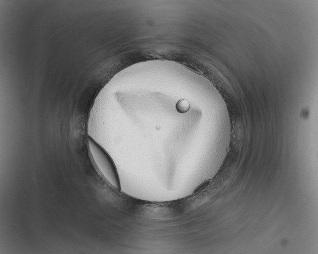 X0000116810284201001081402
