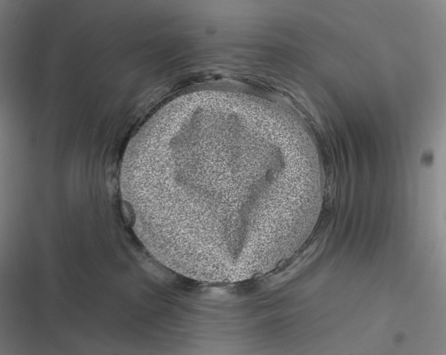 X0000116810285201001081402
