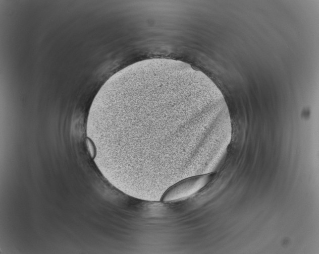 X0000116810287201001081402