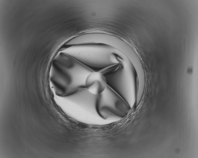 X0000116810289201001081401