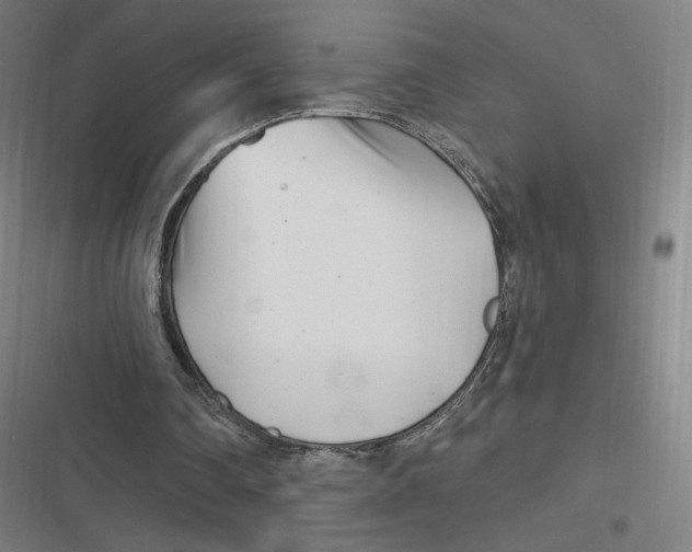 X0000116810290201001081401