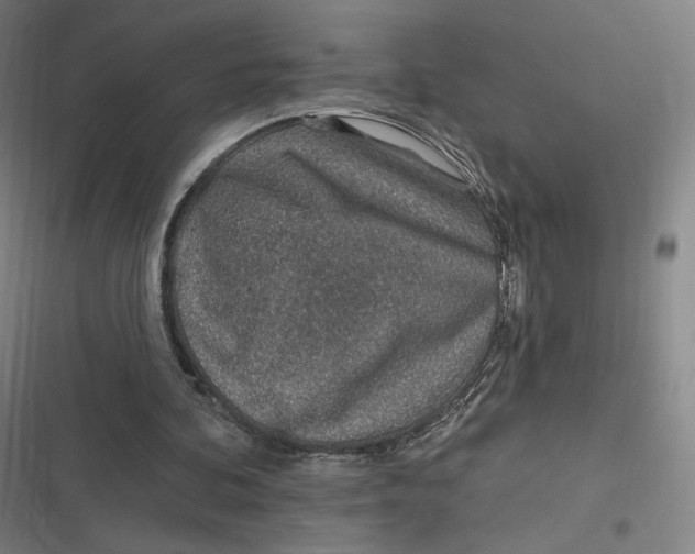 X0000116810292201001081401