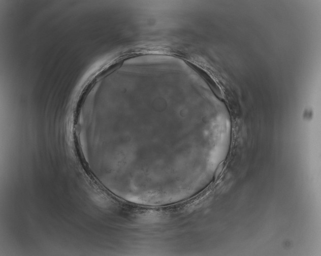 X0000116810293201001081401