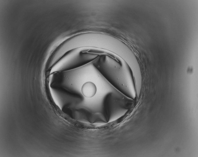X0000116810294201001081401