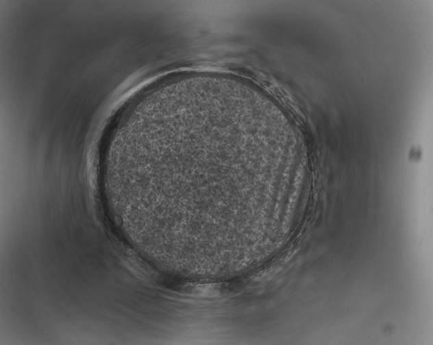 X0000116810295201001081401