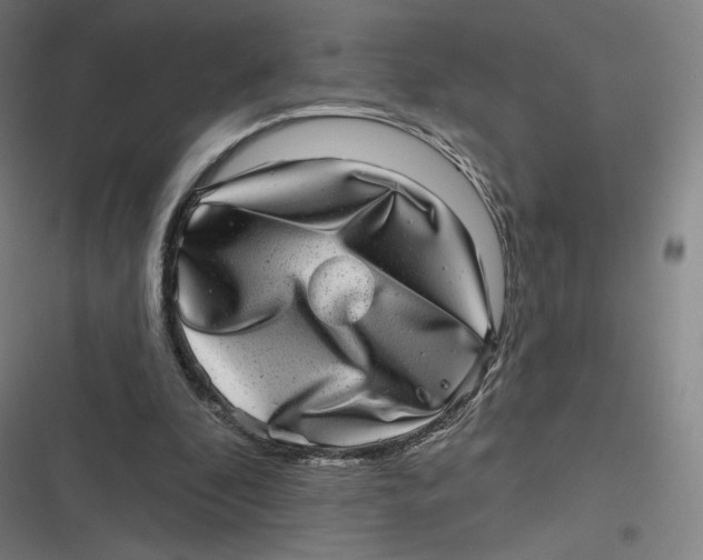 X0000116810296201001081401