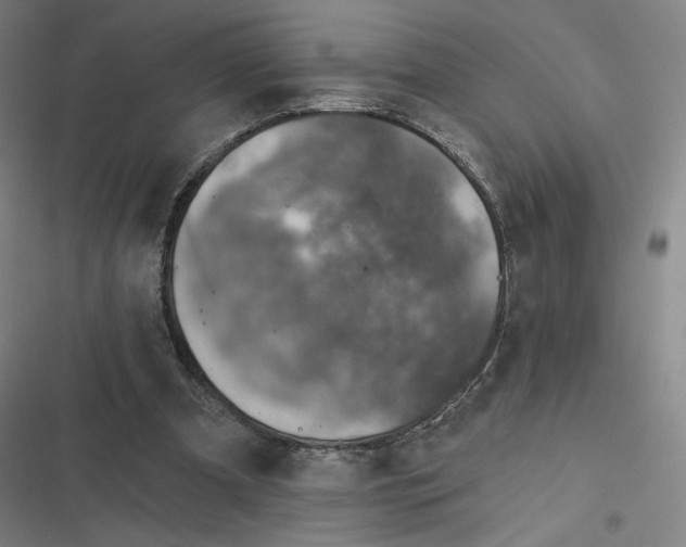 X0000116810297201001081401