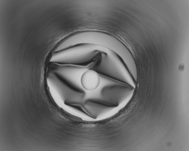 X0000116810301201001081401
