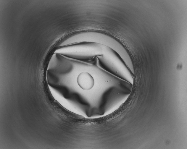 X0000116810304201001081401