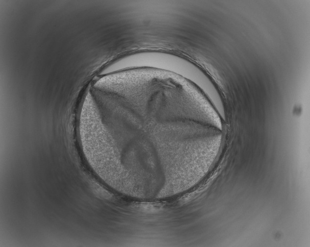 X0000116810305201001081401