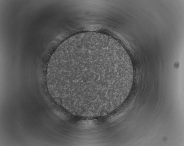 X0000116810307201001081401