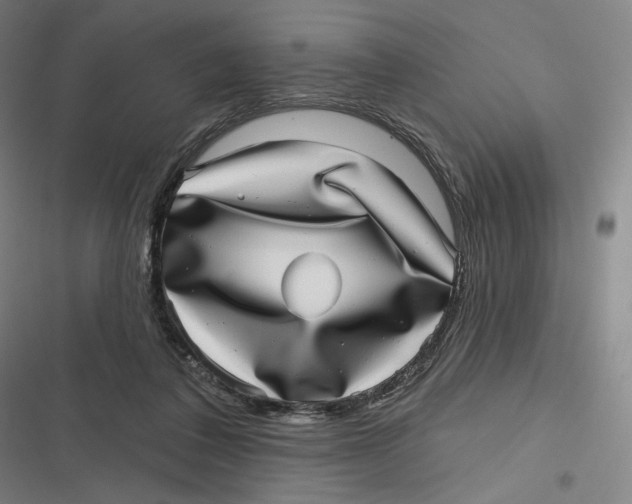 X0000116810308201001081401