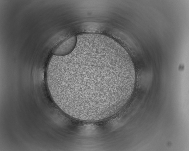 X0000116810310201001081401