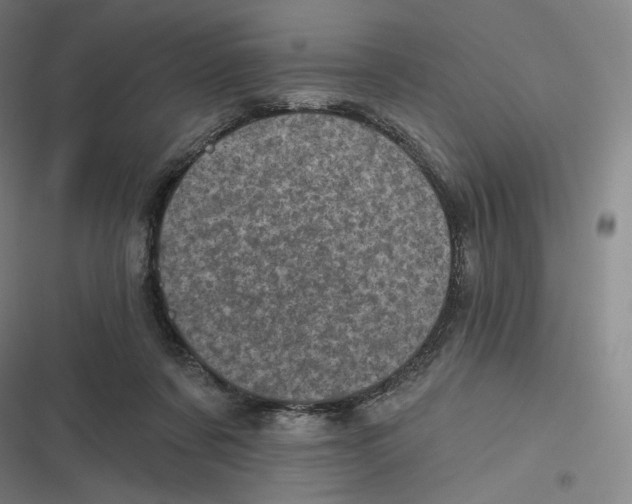 X0000116810311201001081401