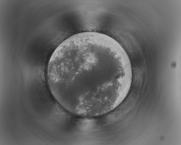 X0000116810313201001081401