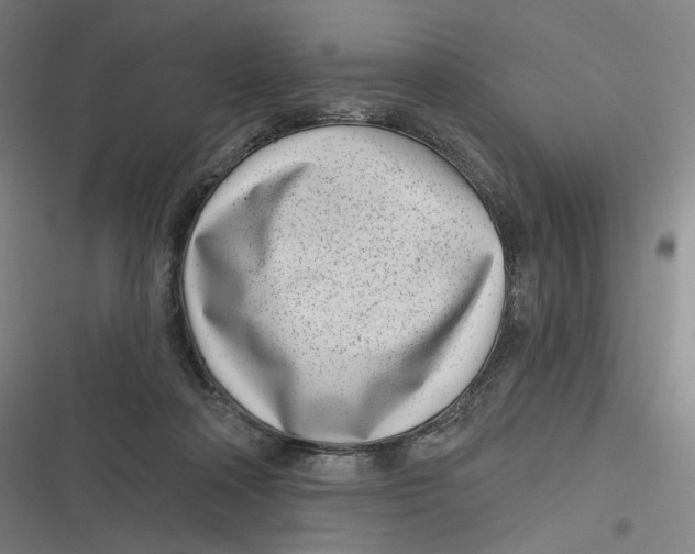 X0000116810314201001081401