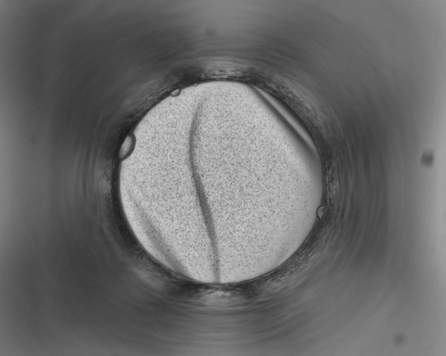 X0000116810315201001081401