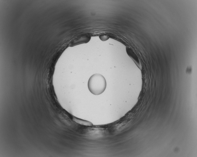 X0000116810316201001081401