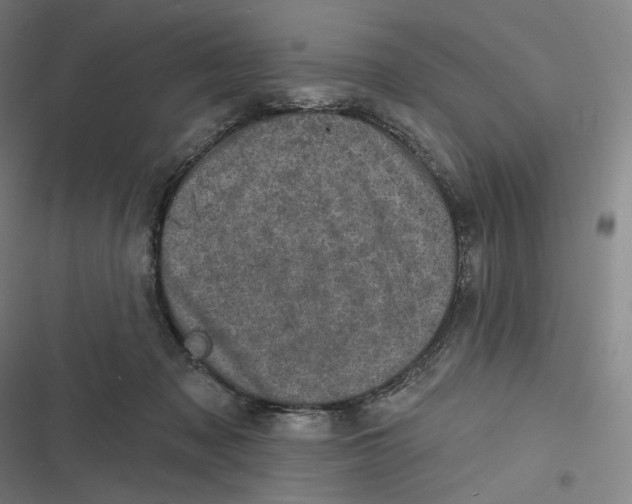 X0000116810317201001081401