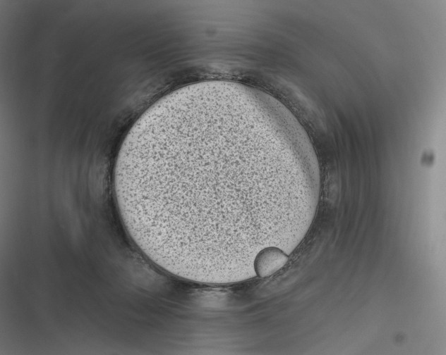 X0000116810318201001081401