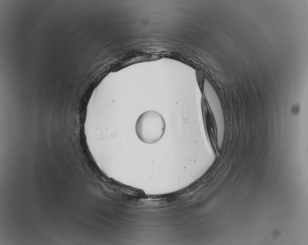 X0000116810320201001081401