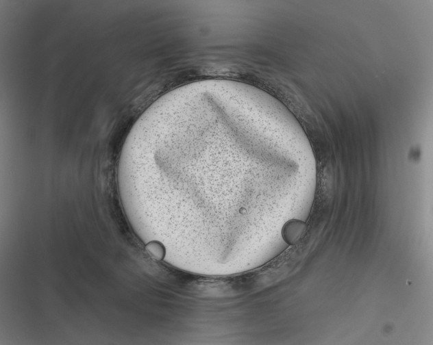 X0000116810322201001081401