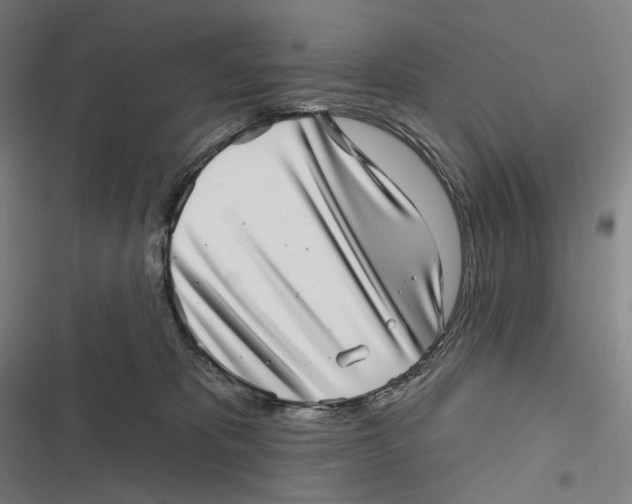 X0000116810325201001081401
