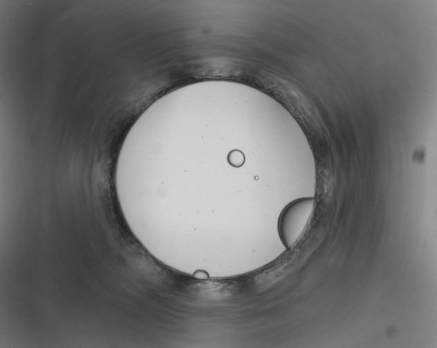 X0000116810326201001081401