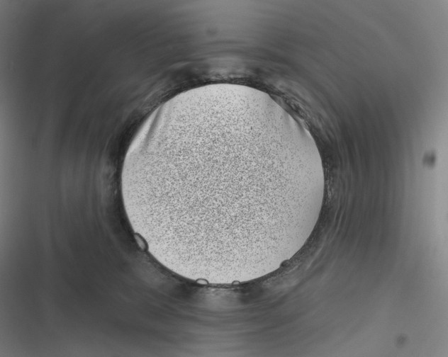 X0000116810327201001081400