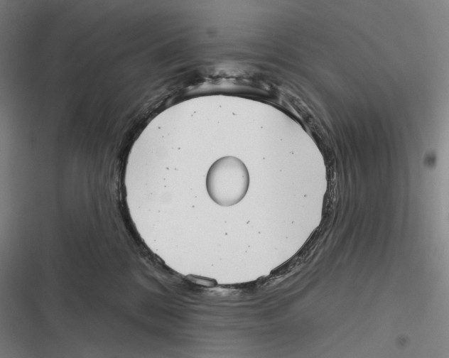 X0000116810328201001081400
