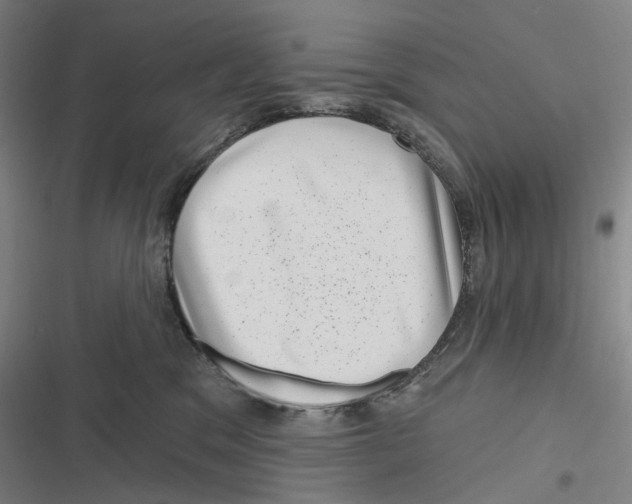 X0000116810329201001081400