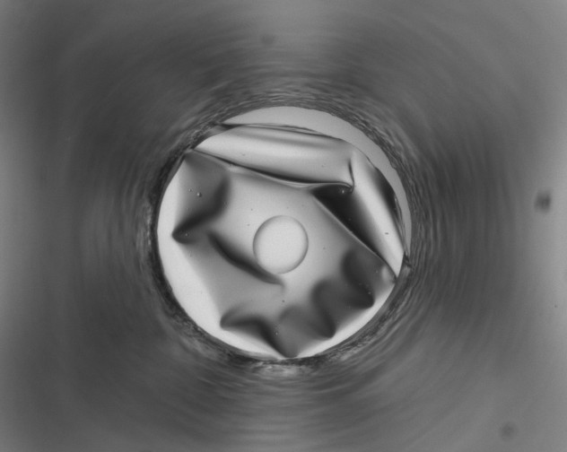 X0000116810332201001081400