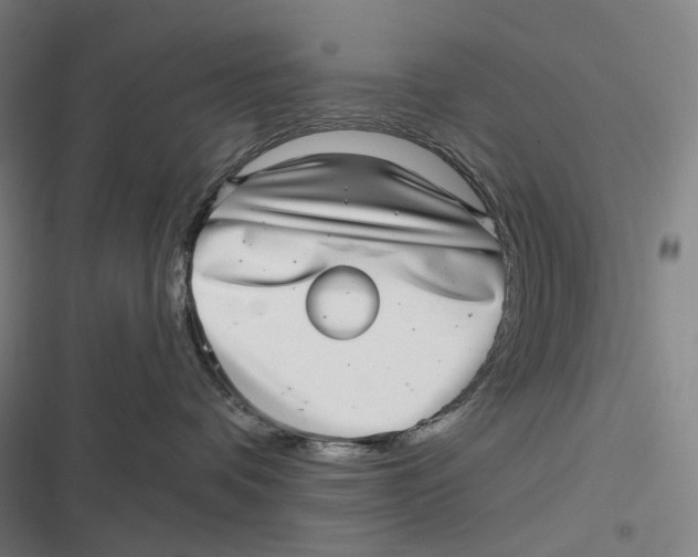 X0000116810336201001081400