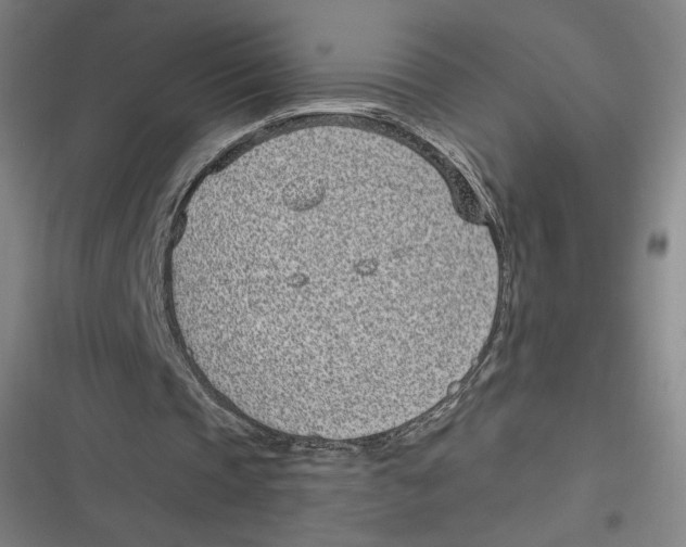 X0000116810337201001081400