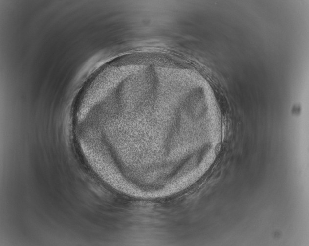 X0000116810339201001081400