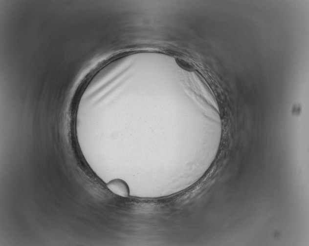 X0000116810342201001081400