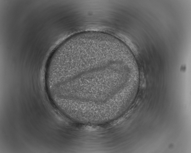 X0000116810346201001081400