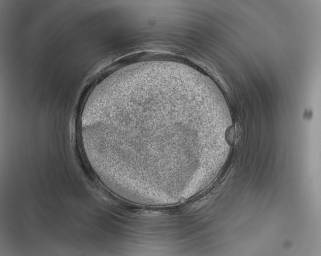 X0000116810349201001081400