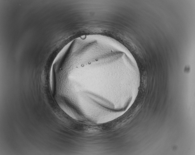 X0000116810359201001081400
