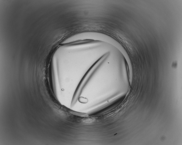 X0000116810362201001081400