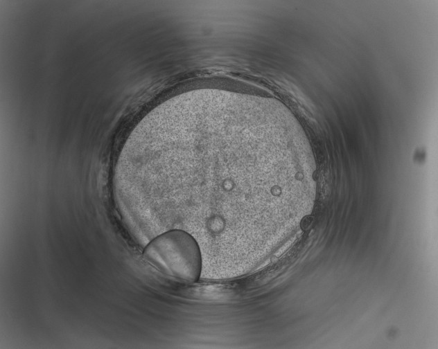 X0000116810365201001081400