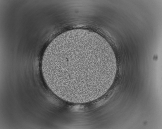 X0000116810366201001081400