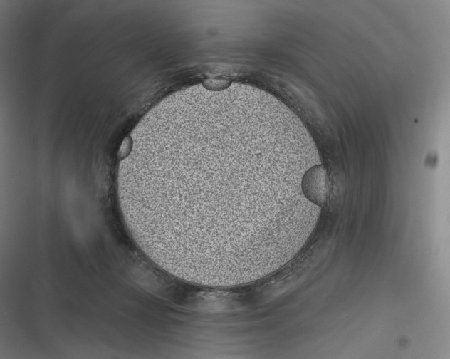 X0000116810367201001081400